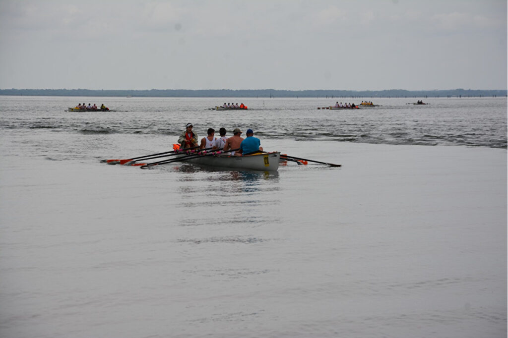 Régate de Pilerons à Arcachon - Ce sont les 4 courses qui on départage les participants sur le parcours de 6 kilomètres du Bassin. Crédit photo : Aviron Arcachon